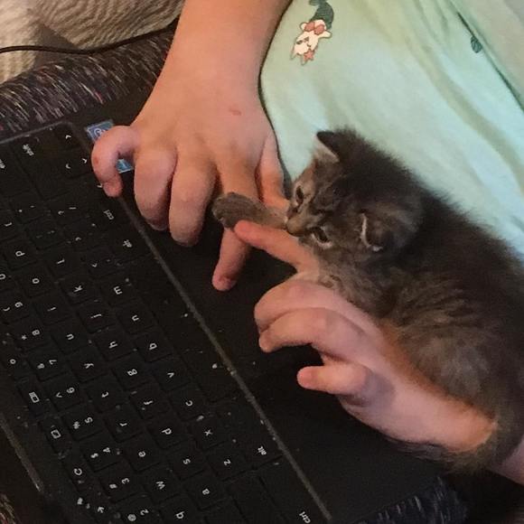 Meet your Posher, Leslie - Picture 1 of 1